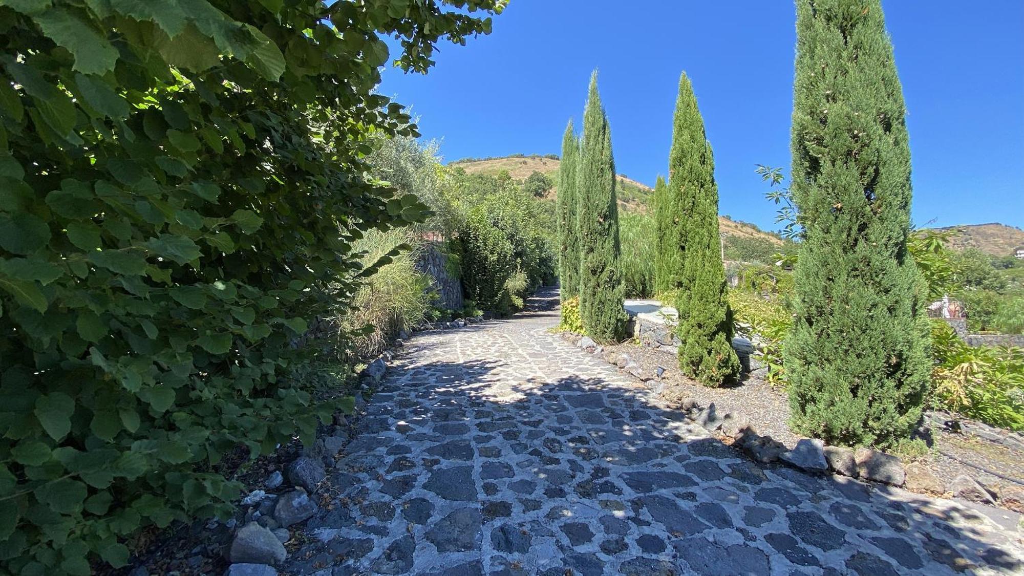 הוילה טרקסטאני Il Palmento Dell'Etna מראה חיצוני תמונה
